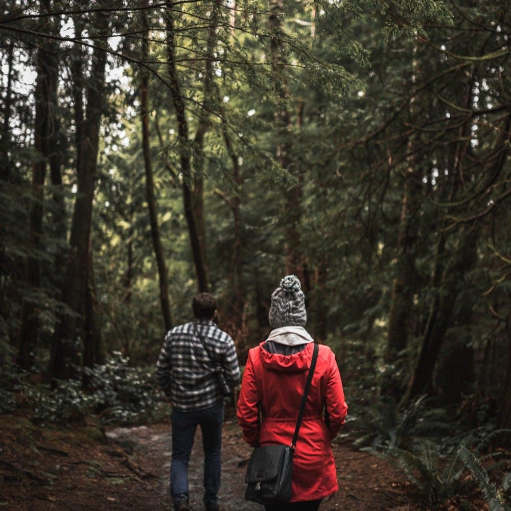 Trekking Tours