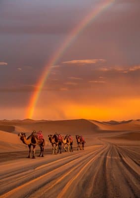 Rajasthan Tour