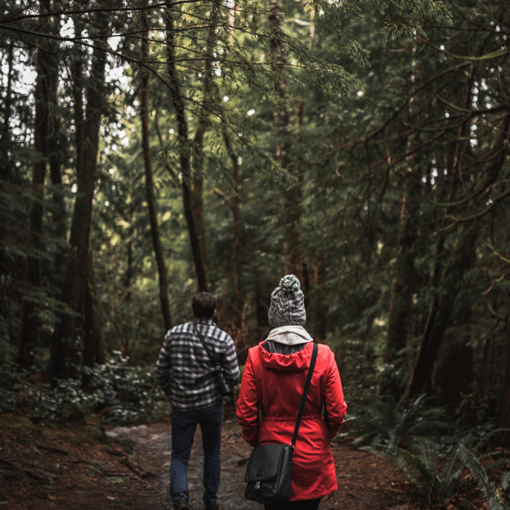 Trekking Tours