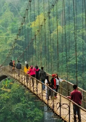 North East Tours