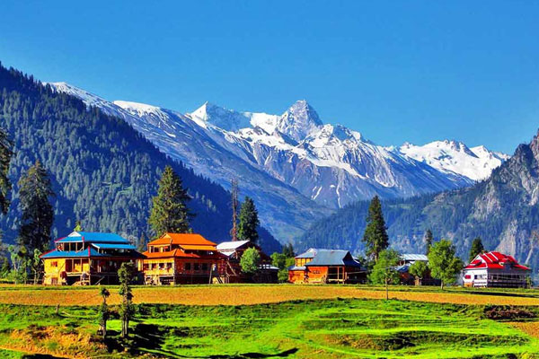 Amazing Kashmir