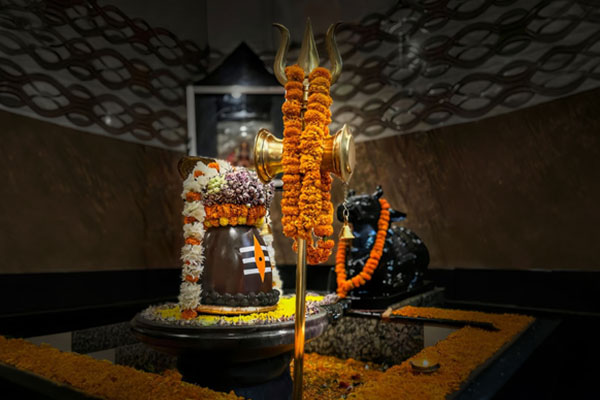 Divine Panch Jyotirlinga Yatra