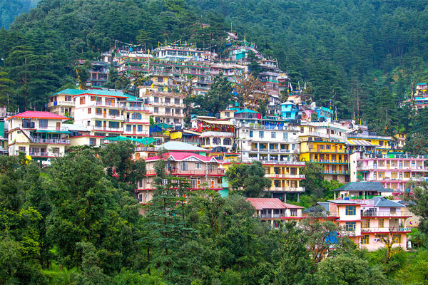  McLeod Ganj Sightseeing