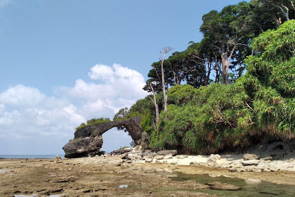 Havelock to Neil Island – Island Sightseeing