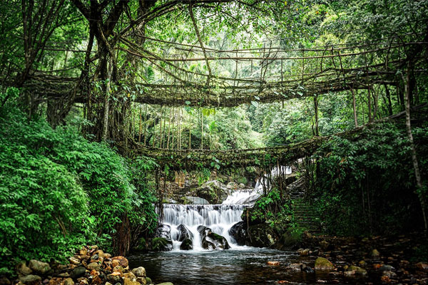 Mawlynnong  Day excursion