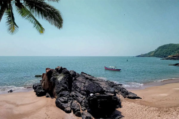 Beach Trek & Coastal Exploration