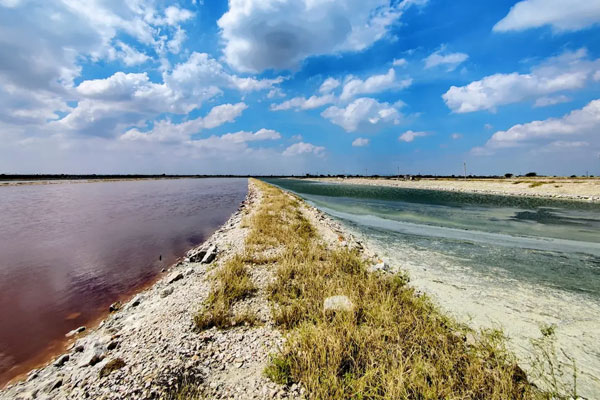 Jaipur – Safari at Jhalana - Sambhar Lake - Jaipur