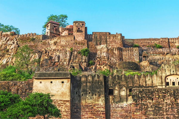  Explore Ranthambhore National Park – Morning and Evening Safari