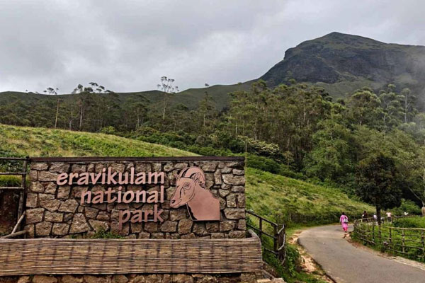 DAY 3: - MUNNAR LOCAL SIGHTSEEING