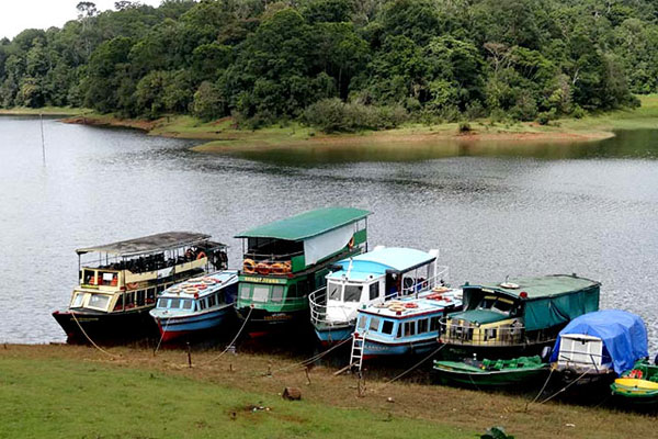 Day 4: -: MUNNAR TO THEKKADY 
