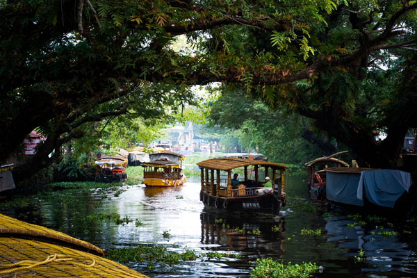 Munnar – Alleppey