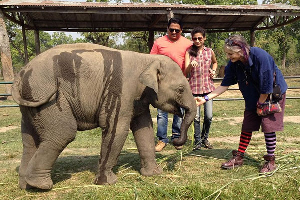 Chitwan National Park Wildlife Experience