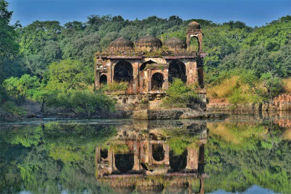 Ranthambhore – Fort Visit - Jaipur