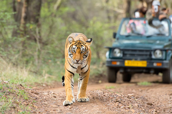 JUNAGADH TO SOMNATH