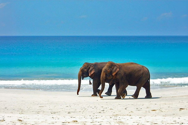 Havelock – Elephant Beach