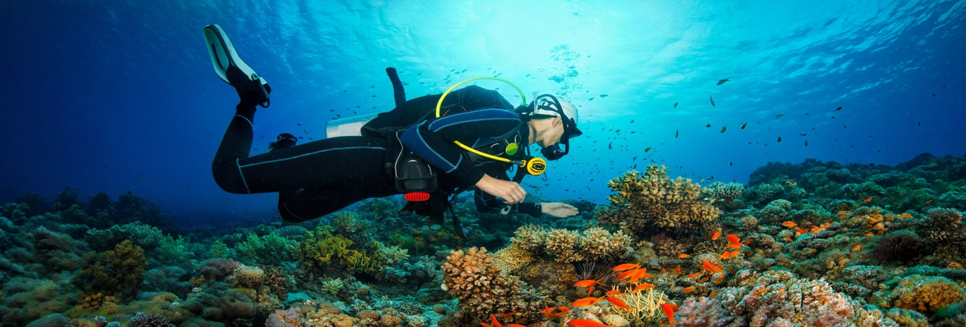 Radhanagar Beach Vibrant Coral Reefs