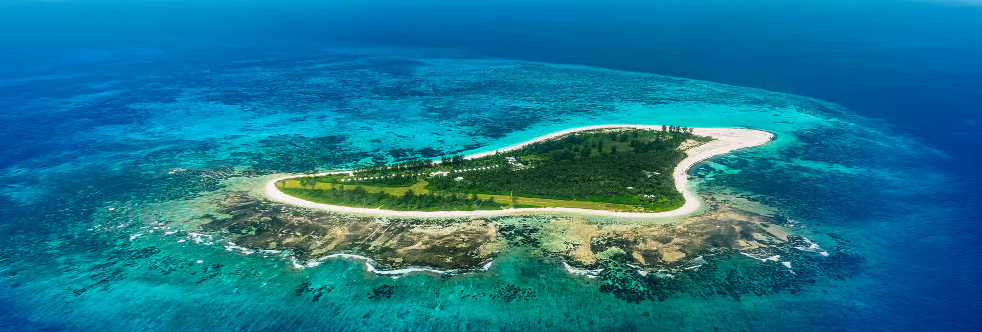 Bird Island