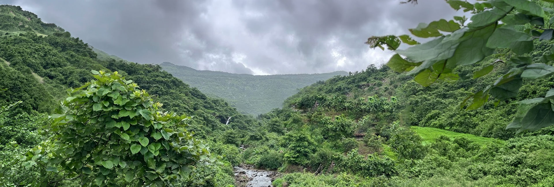 Ambewadi Natural