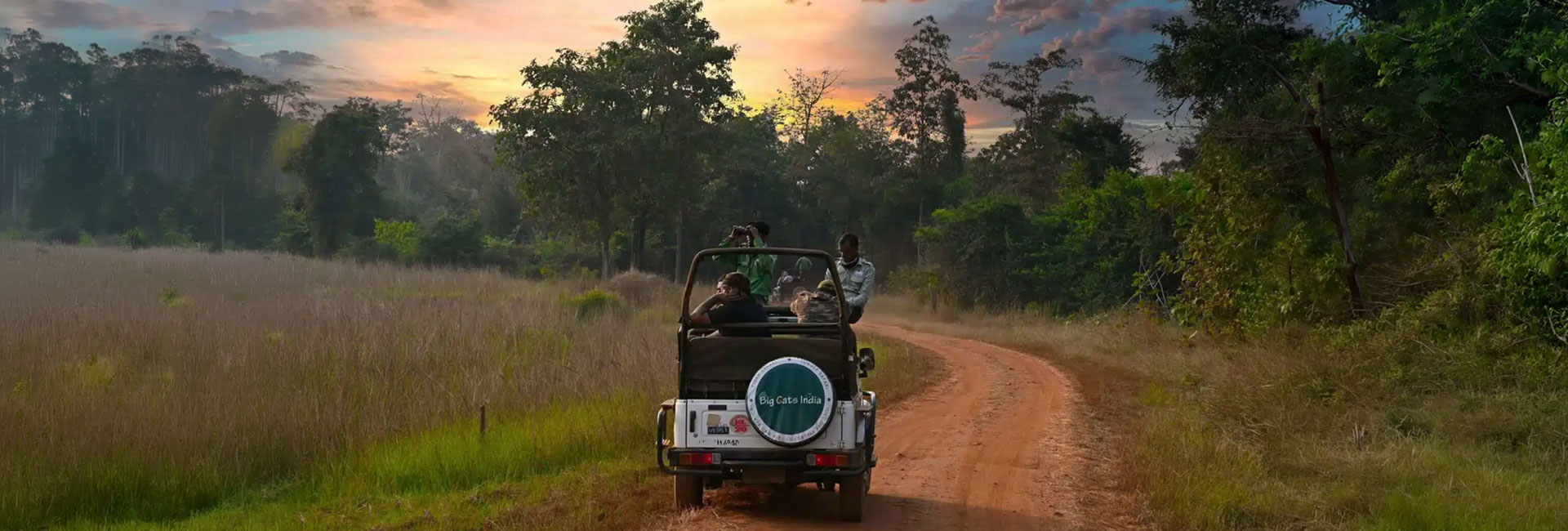 Jeep Safari